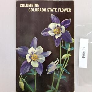 Columbine Colorado State Flower Vintage 1960s Postcard Color Photo
